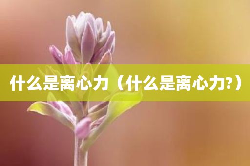 什么是离心力（什么是离心力?）