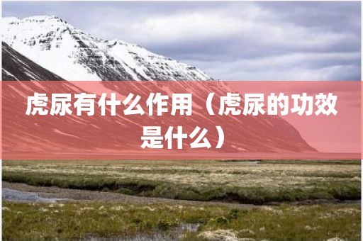 虎尿有什么作用（虎尿的功效是什么）