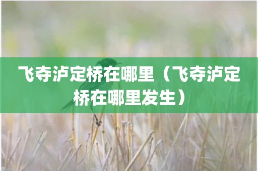 飞夺泸定桥在哪里（飞夺泸定桥在哪里发生）