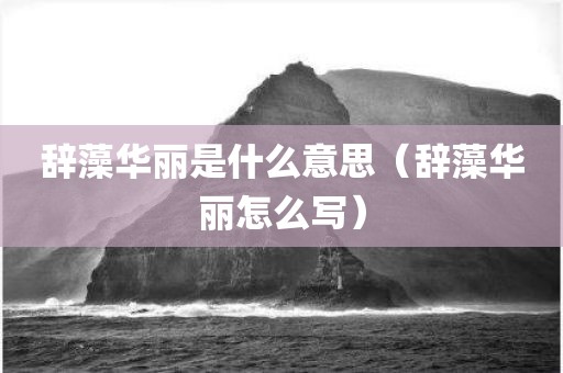 辞藻华丽是什么意思（辞藻华丽怎么写）