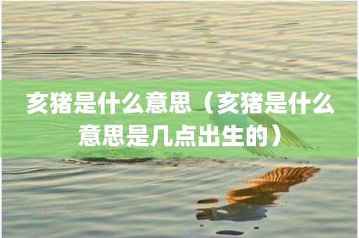 亥猪是什么意思（亥猪是什么意思是几点出生的）