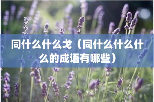 同什么什么戈（同什么什么什么的成语有哪些）
