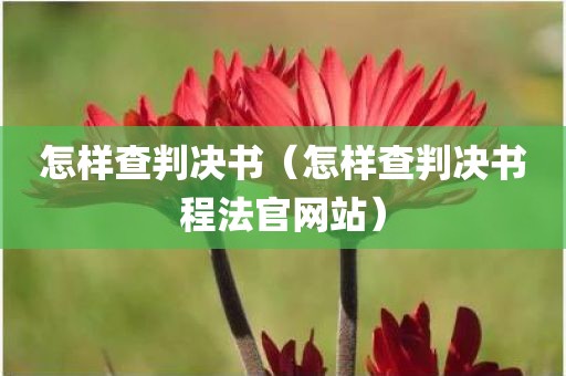 怎样查判决书（怎样查判决书程法官网站）