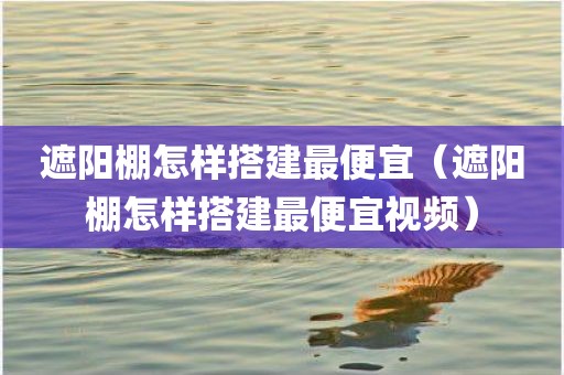 遮阳棚怎样搭建最便宜（遮阳棚怎样搭建最便宜视频）