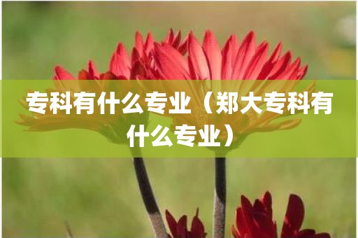 专科有什么专业（郑大专科有什么专业）