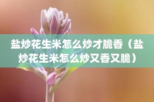 盐炒花生米怎么炒才脆香（盐炒花生米怎么炒又香又脆）