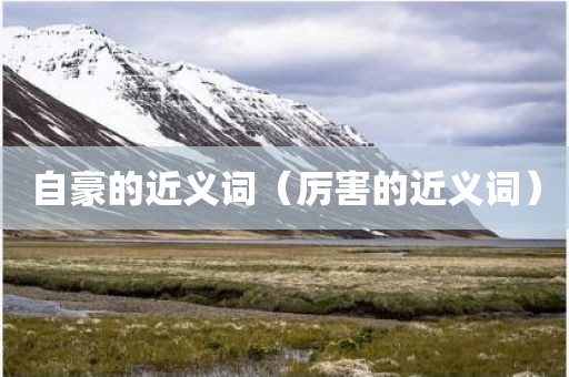 自豪的近义词（厉害的近义词）