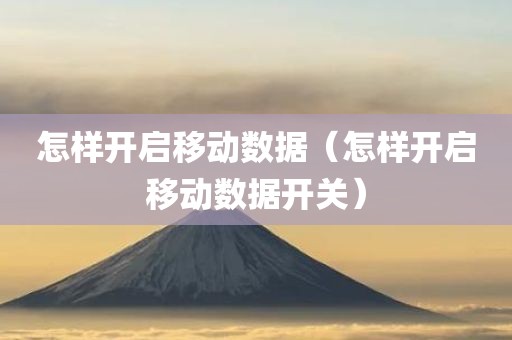 怎样开启移动数据（怎样开启移动数据开关）