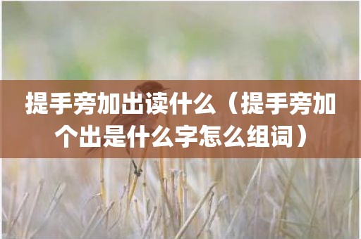 提手旁加出读什么（提手旁加个出是什么字怎么组词）