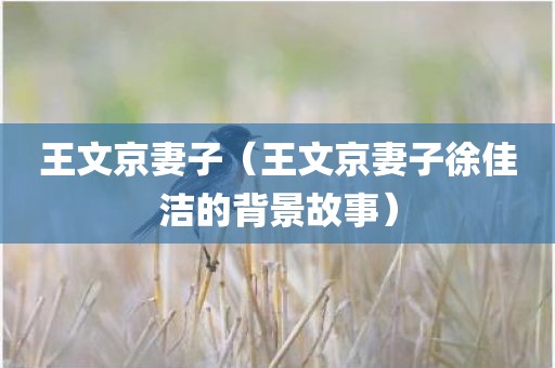 王文京妻子（王文京妻子徐佳洁的背景故事）