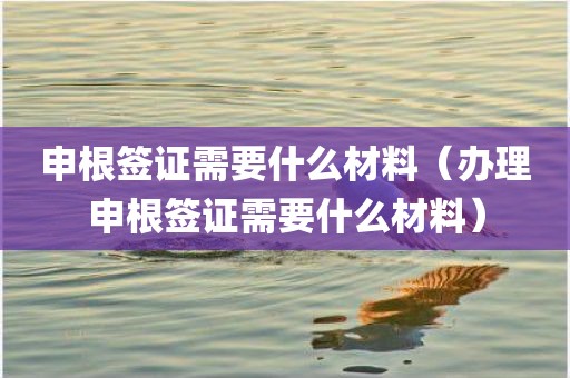 申根签证需要什么材料(办理申根签证需要什么材料) 申根签证需要什么材料(办理申根签证需要什么材料)