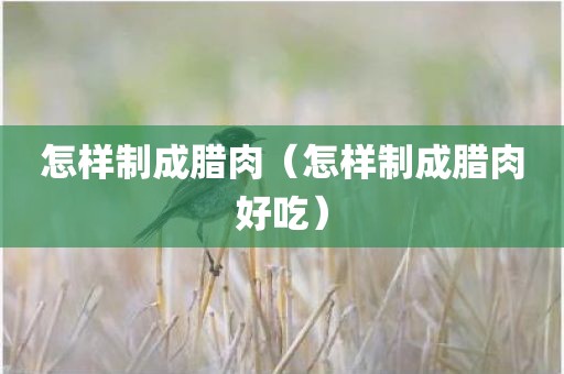 怎样制成腊肉（怎样制成腊肉好吃）