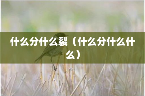 什么分什么裂（什么分什么什么）