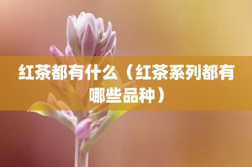 红茶都有什么（红茶系列都有哪些品种）
