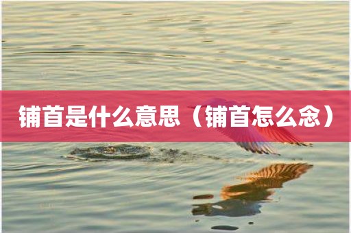 铺首是什么意思（铺首怎么念）