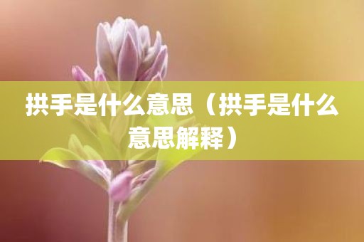 拱手是什么意思（拱手是什么意思解释）