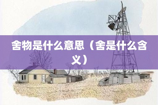舍物是什么意思（舍是什么含义）