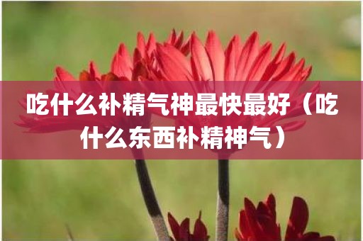 吃什么补精气神最快最好（吃什么东西补精神气）