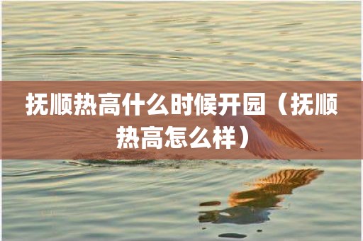 抚顺热高什么时候开园（抚顺热高怎么样）