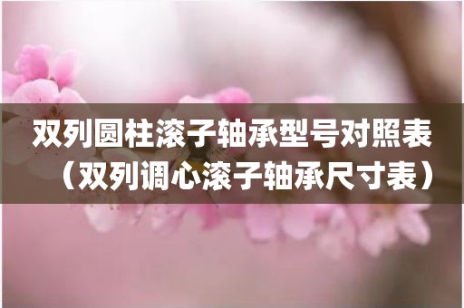 双列圆柱滚子轴承型号对照表（双列调心滚子轴承尺寸表）