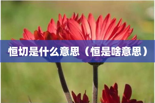 恒切是什么意思（恒是啥意思）
