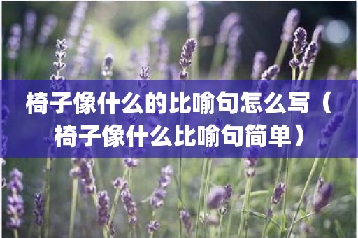 椅子像什么的比喻句怎么写（椅子像什么比喻句简单）