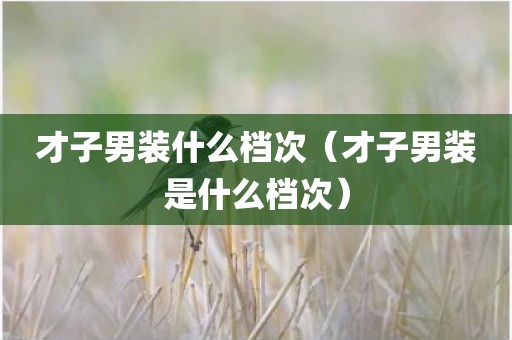 才子男装什么档次（才子男装是什么档次）