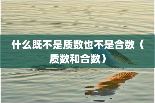 什么既不是质数也不是合数（质数和合数）