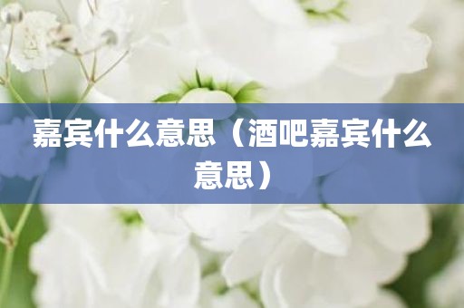 嘉宾什么意思（酒吧嘉宾什么意思）