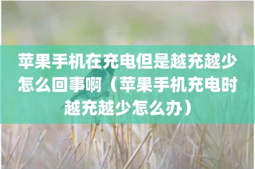 苹果手机在充电但是越充越少怎么回事啊（苹果手机充电时越充越少怎么办）
