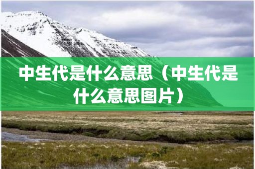 中生代是什么意思（中生代是什么意思图片）