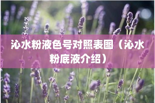 沁水粉液色号对照表图（沁水粉底液介绍）