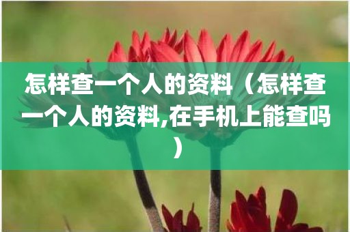 怎样查一个人的资料（怎样查一个人的资料,在手机上能查吗）