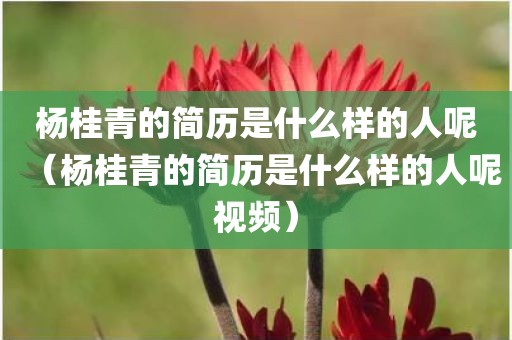 杨桂青的简历是什么样的人呢（杨桂青的简历是什么样的人呢视频）