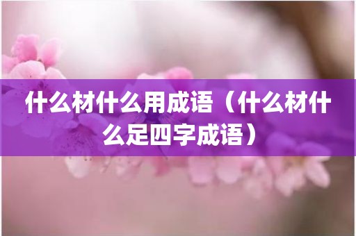 什么材什么用成语(什么材什么足四字成语)