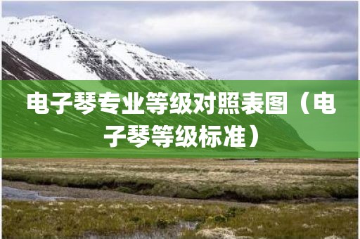 电子琴专业等级对照表图（电子琴等级标准）