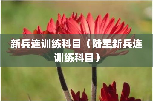 新兵连训练科目（陆军新兵连训练科目）