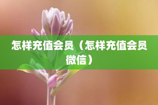 怎样充值会员（怎样充值会员微信）