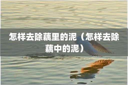 怎样去除藕里的泥（怎样去除藕中的泥）