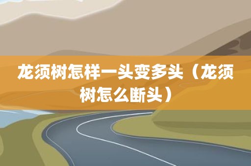 龙须树怎样一头变多头（龙须树怎么断头）
