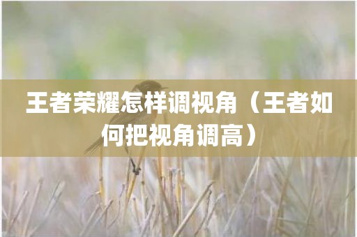 王者荣耀怎样调视角（王者如何把视角调高）