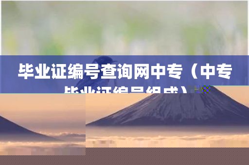 毕业证编号查询网中专（中专毕业证编号组成）