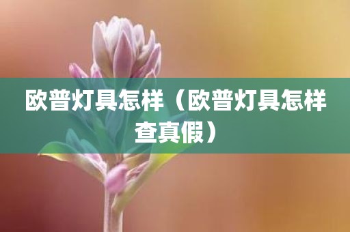 欧普灯具怎样(欧普灯具怎样查真假)