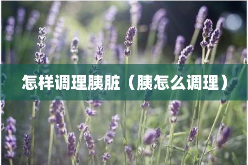 怎样调理胰脏（胰怎么调理）