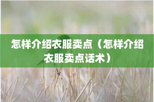 怎样介绍衣服卖点（怎样介绍衣服卖点话术）