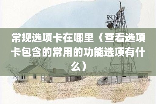 常规选项卡在哪里(查看选项卡包含的常用的功能选项有什么)