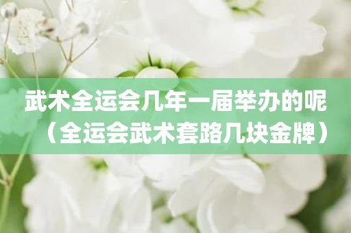 武术全运会几年一届举办的呢（全运会武术套路几块金牌）