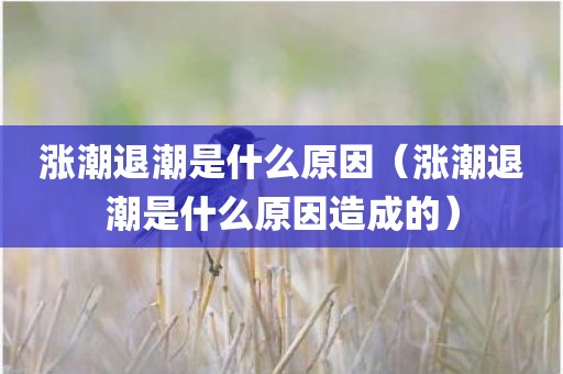 涨潮退潮是什么原因（涨潮退潮是什么原因造成的）