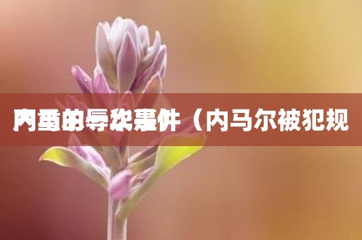 内马尔辱华事件（内马尔被犯规严重的一次是）