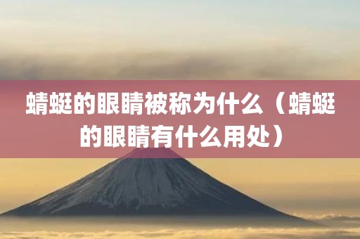 蜻蜓的眼睛被称为什么（蜻蜓的眼睛有什么用处）